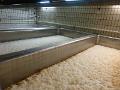 Bild (44)